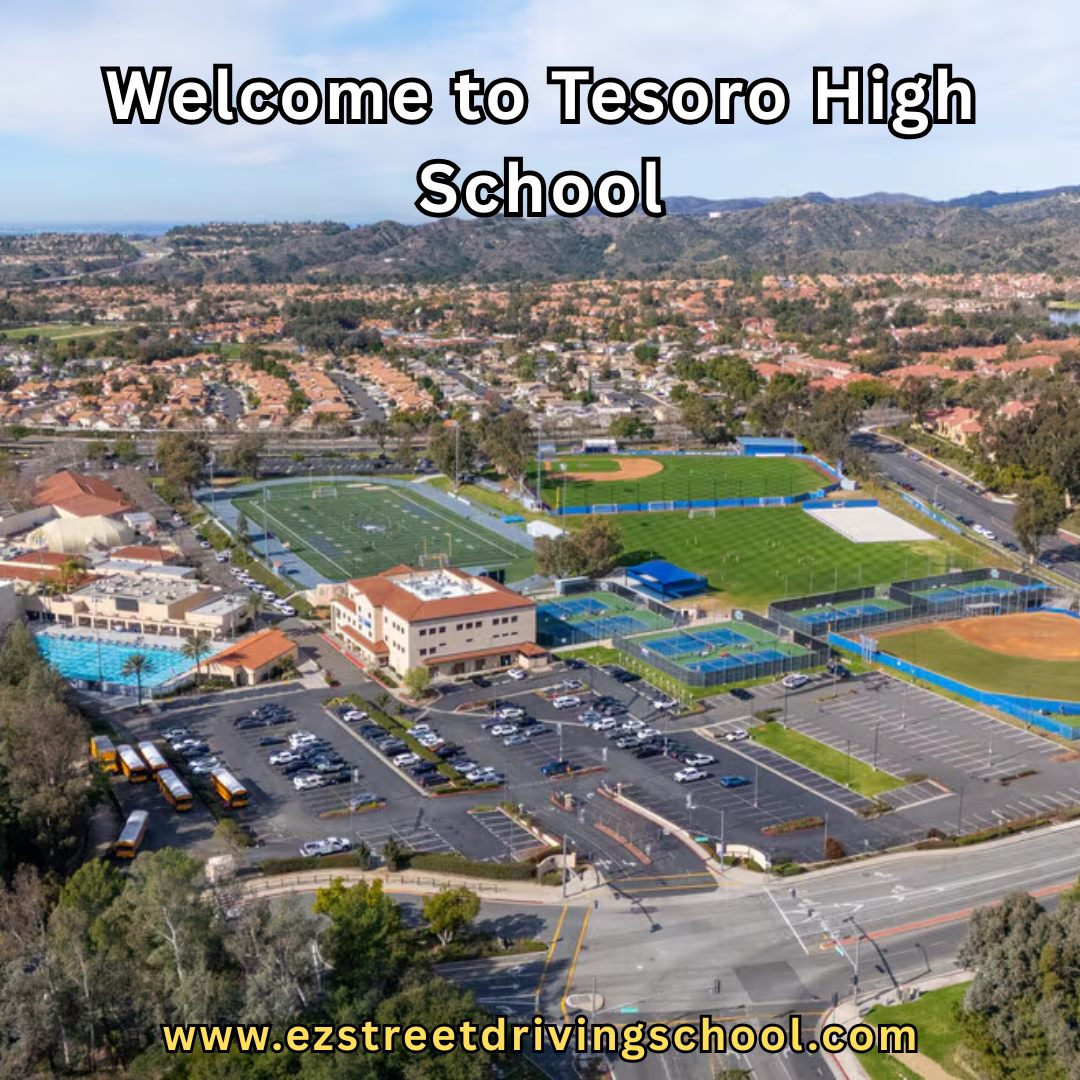 Driving Lessons in Tesoro